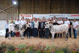 Succès de la vente Belloche avec 115 femelles vendues Succès de la vente Belloche avec 115 femelles vendues