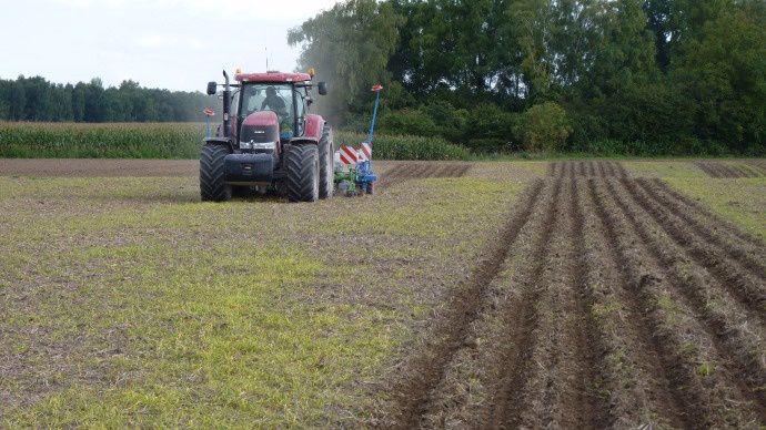 Semis de colza et strip-till