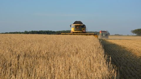 Le blues des producteurs malgré l'abondance