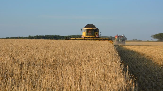Moisson d'orges