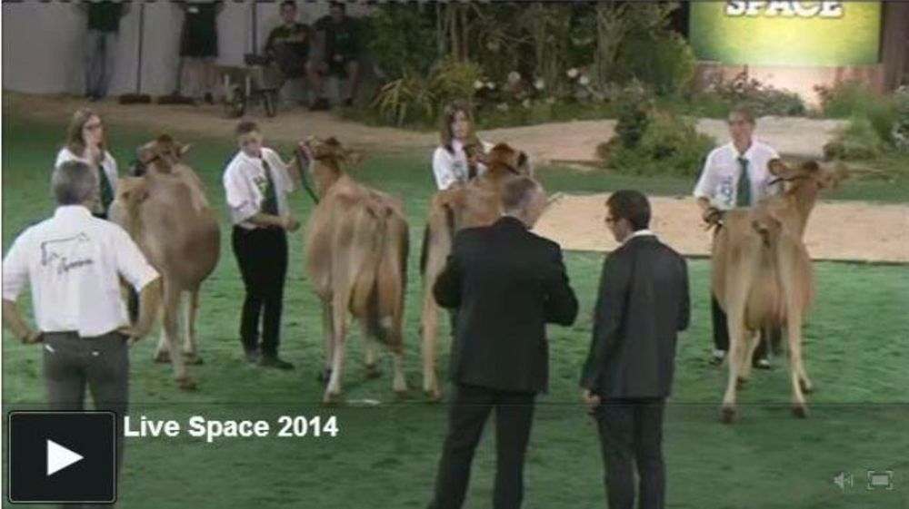 Regardez les concours bovins en direct sur Web-agri