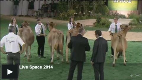 Regardez les concours bovins en direct sur Web-agri