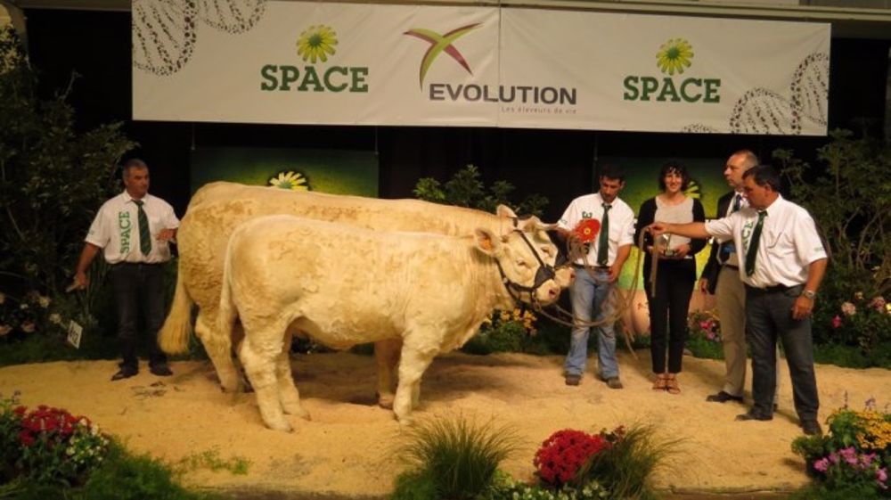 La championne est Colombine au Gaec Audureau (85)