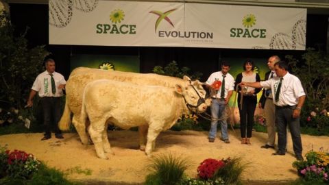 La championne est Colombine au Gaec Audureau (85)