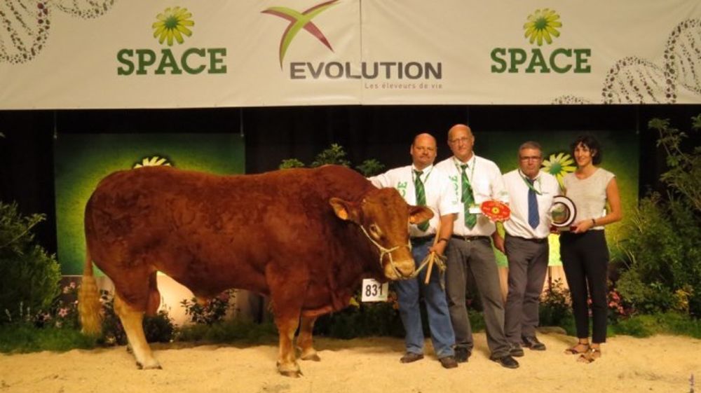 Flonflon décroche le titre de champion