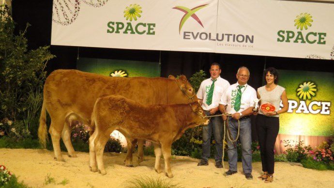 Gazelle, championne limousine au Space 2014