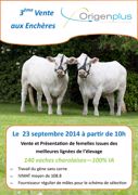 3e vente Origenplus, le 23 septembre, à Bosc-Béranger (76) 3e vente Origenplus, le 23 septembre, à Bosc-Béranger (76)