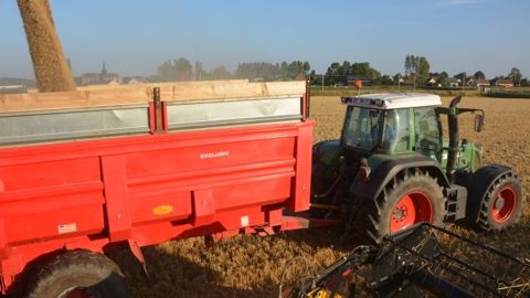 Les marchés agricoles touchent le fond sans espoir de rebond rapide