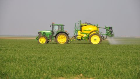 Le désherbage d’automne, une étape incontournable contre les graminées