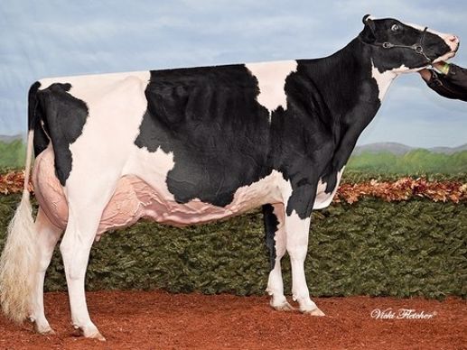 rf_goldwyn_hailey