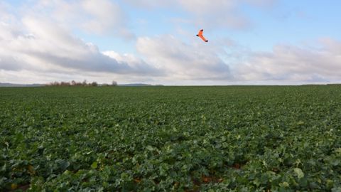 Airinov lance Agridrone, premier réseau national de prestations agricoles par drones. (©Terre-net Média)