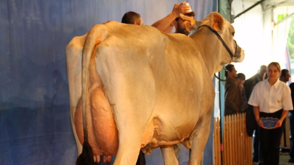 Retour sur le concours et la vente avec Bgs