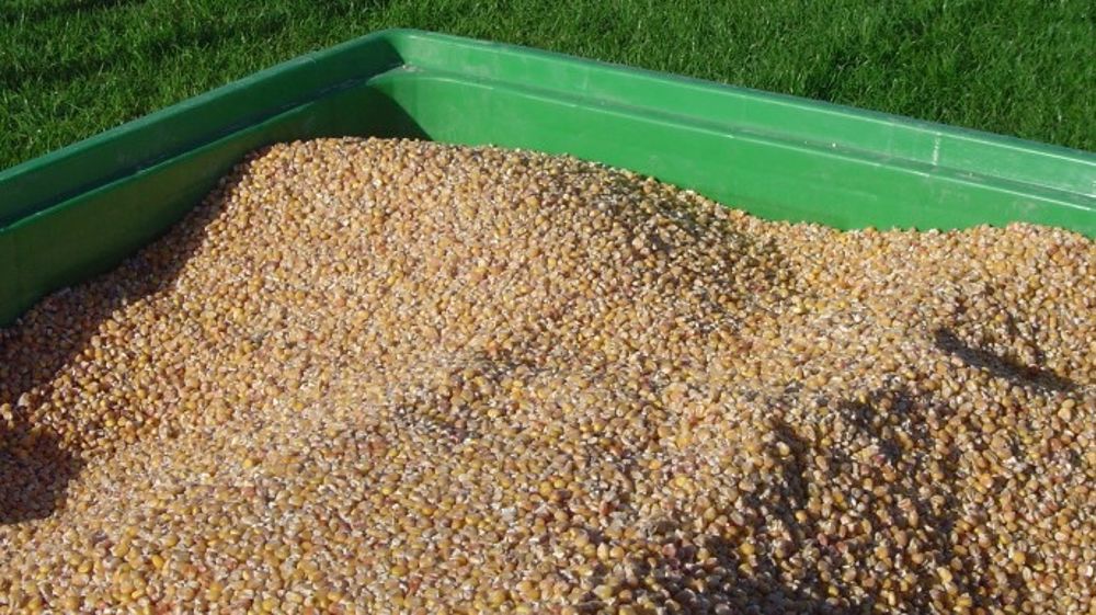 Une production record de 980 Mt de maïs dans le monde