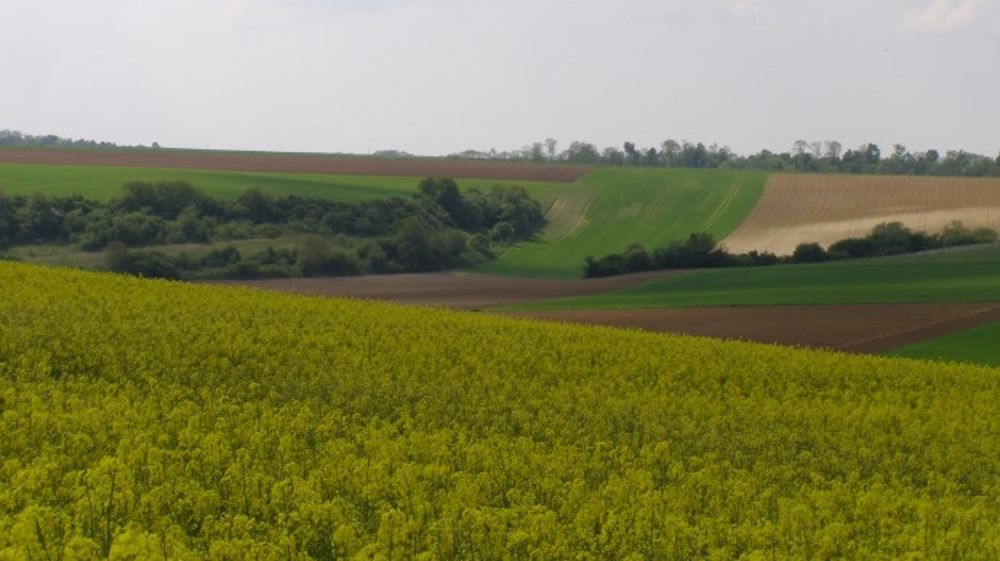 Contre les coupes budgétaires, les Chambres d’agriculture fermées le 5 novembre