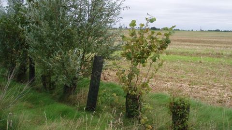 Soyez prudent pour calculer votre surface d’intérêt écologique de 5 %