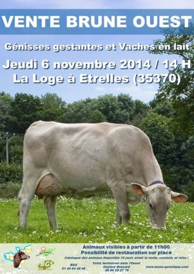 Liste des animaux à la vente Brune Ouest du 6 novembre (Maj avec catalogue)