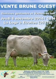 Liste des animaux à la vente Brune Ouest du 6 novembre (Maj avec catalogue)