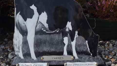En souvenir d'Hubert Morand