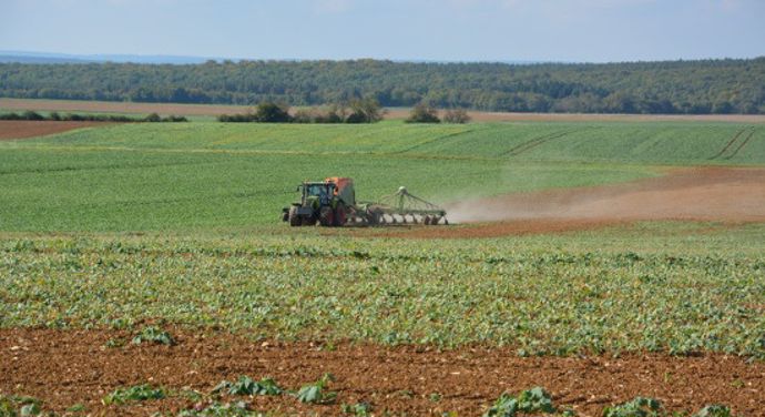 semoir Amazone Condor 12001