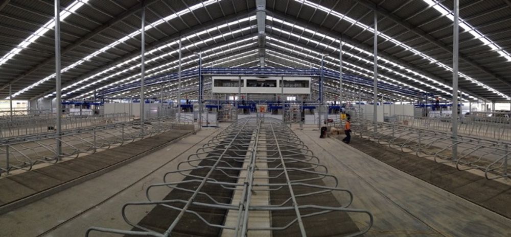 24 robots pour 1.500 vaches 24 robots pour 1.500 vaches