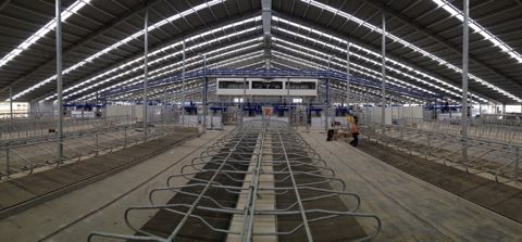 24 robots pour 1.500 vaches