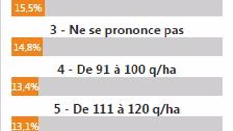 Prévisions de rendements en maïs grain Prévisions de rendements en maïs grain