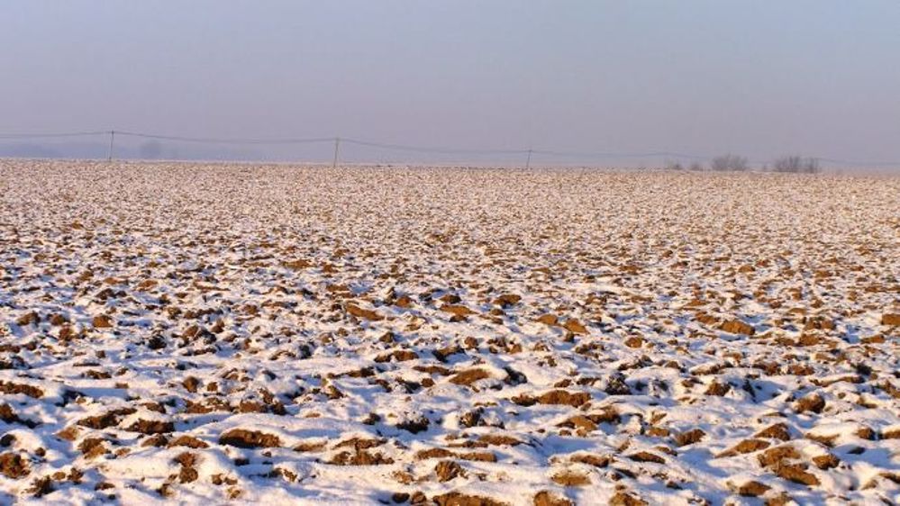 La vague de froid menace-t-elle les rendements américains ?