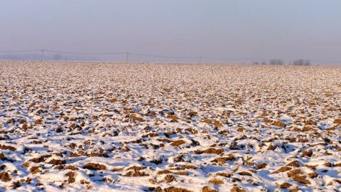 La vague de froid menace-t-elle les rendements américains ?