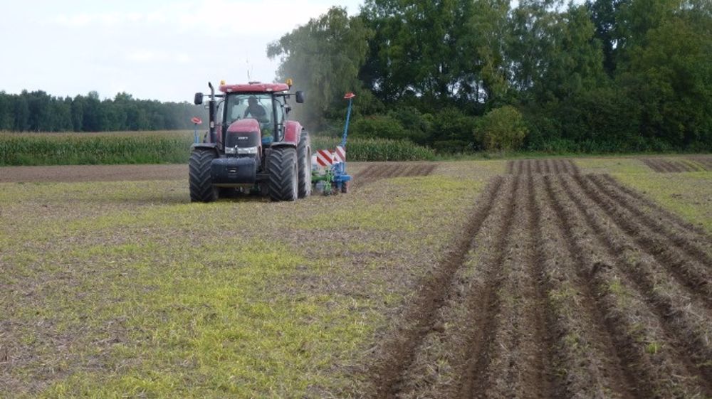 Jacques Charlot : « J’alterne semis direct, travail du sol et strip-till »