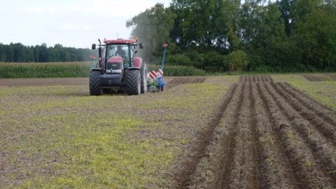 Jacques Charlot : « J’alterne semis direct, travail du sol et strip-till »
