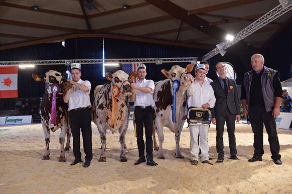 Carmen, au Gaec Piou Toublance, Grande championne Normande