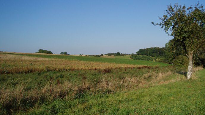 Paysage agricole