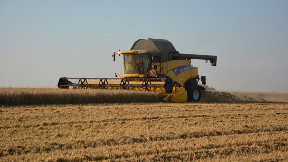 Baisse de la production de blé en Australie