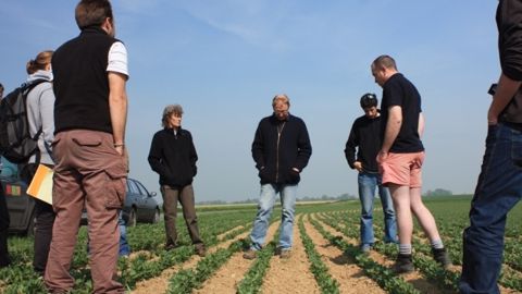 Les appels à projets régionaux seront lancés en janvier 2015 Les appels à projets régionaux seront lancés en janvier 2015
