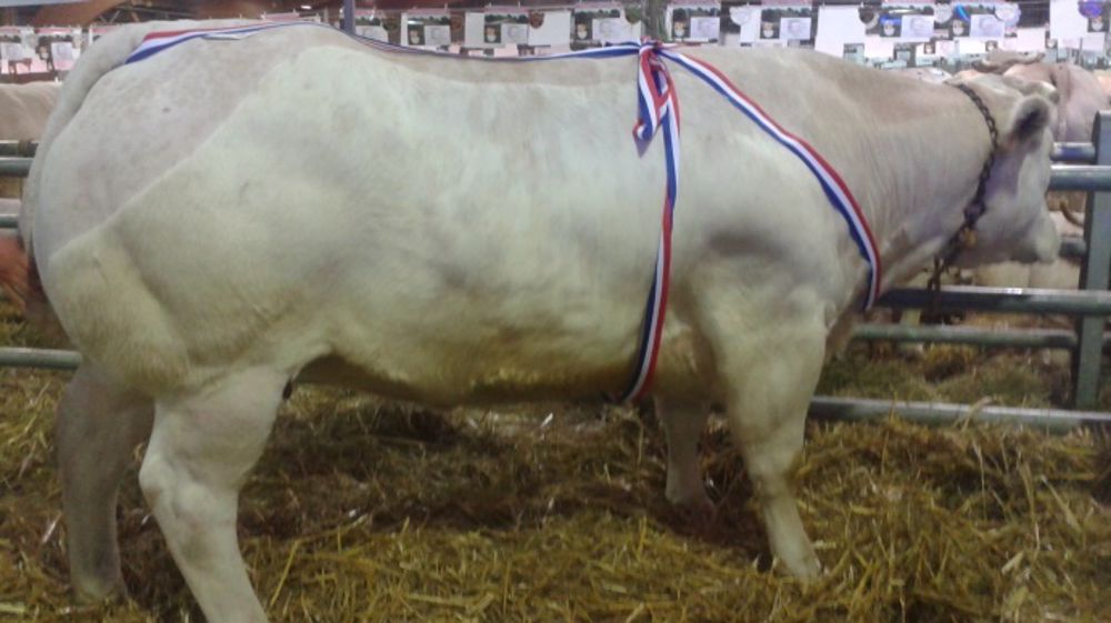 A Charolles - Vingt ans fêtés dignement !