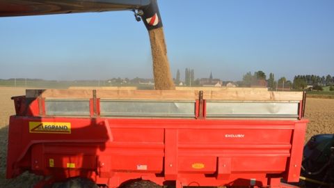 Recul des exportations françaises, en particulier vers l'Algérie