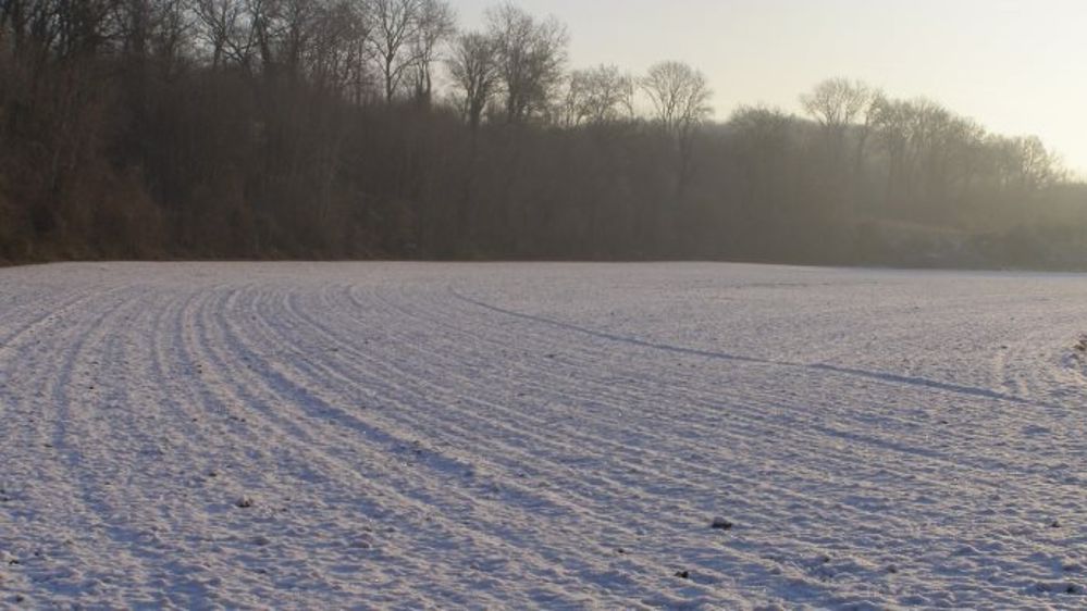 Risque climatique en Russie