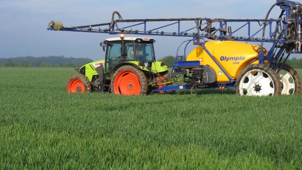 Construire sa stratégie de protection fongicide du blé : les repères pour 2015