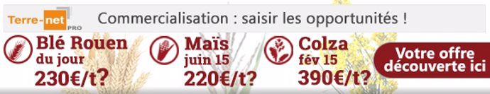 Connaître l'évolution du prix des céréales