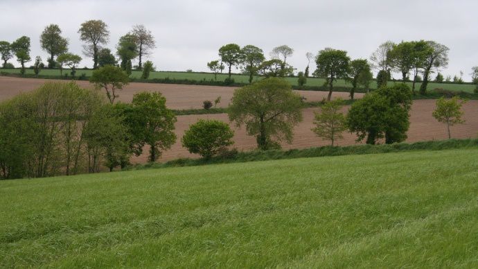 Terres agricoles