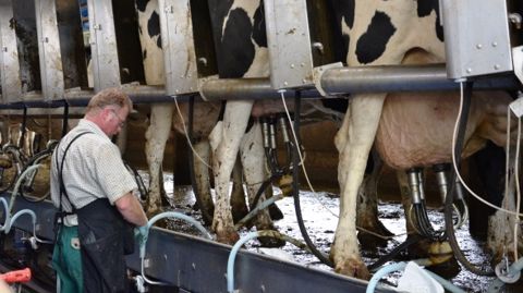 Le Cniel invite les éleveurs à donner leur lait