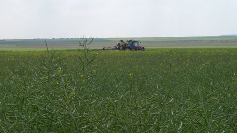 DuPont associe un micro-organisme, fongicide naturel, à une strobilurine DuPont associe un micro-organisme, fongicide naturel, à une strobilurine