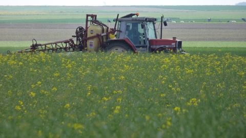 La révision de l'arrêté abeilles se précise