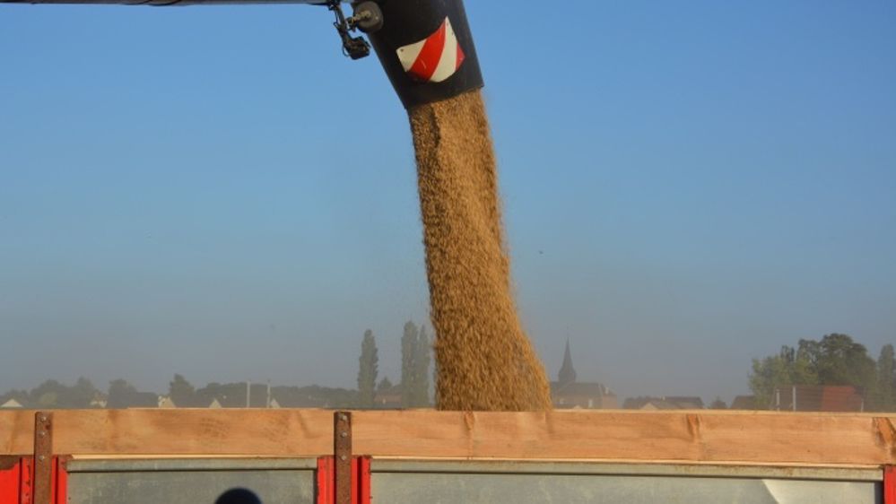 Les prix agricoles en ordre dispersé, avant le rapport de l'Usda