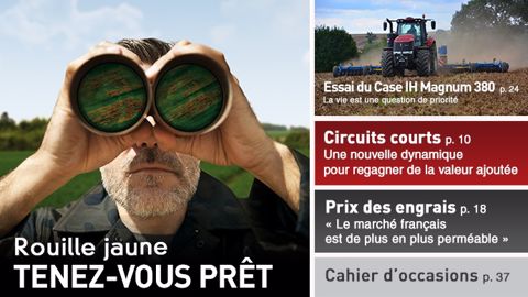 Rouille jaune : la traque est lancée