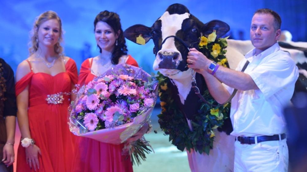 Palmarès du concours Holstein - Jamais deux sans trois pour O'Kalibra !