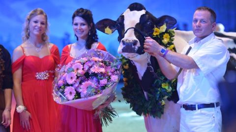 Palmarès du concours Holstein - Jamais deux sans trois pour O'Kalibra !