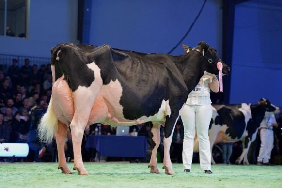 Carmen OTS Swiss Expo 2015