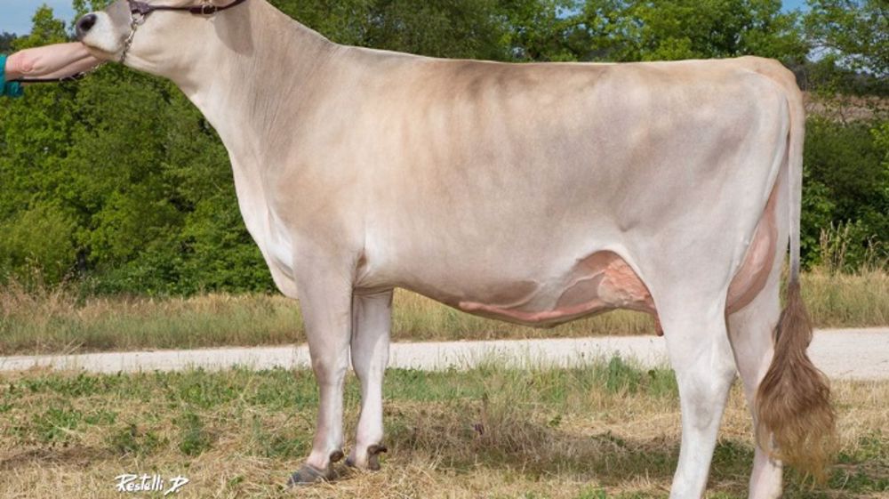 Feeling (Payoff) mère d’Ifeeling (©Gorgio Soldi)