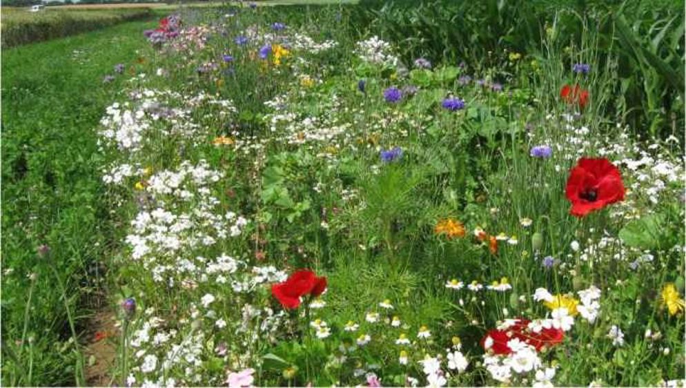 Toute l’agro-écologie en un clic sur www.boitagri.com